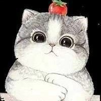 1331188**** 澳門美獅美高梅酒店優惠