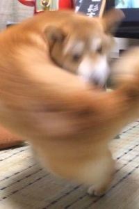 M37514**** 上海松江廣富林宰相府飯店優惠