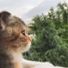 https://ak-d.tripcdn.com/images/1h64512000i0qsfelF286.jpg