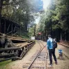 Avatar 1