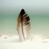 Avatar 1