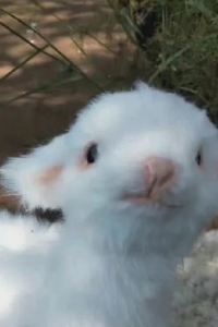 Xiangaxiangdingdang🎐 七大洋酒店優惠