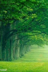 Gong m. 假日倫敦卡姆登洛克酒店優惠