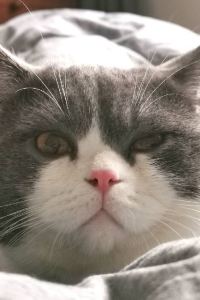 Anyujianshu 廣東勝利賓館優惠