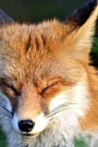 Wuyuntianbei 直布羅陀智選假日酒店 - IHG 旗下酒店優惠