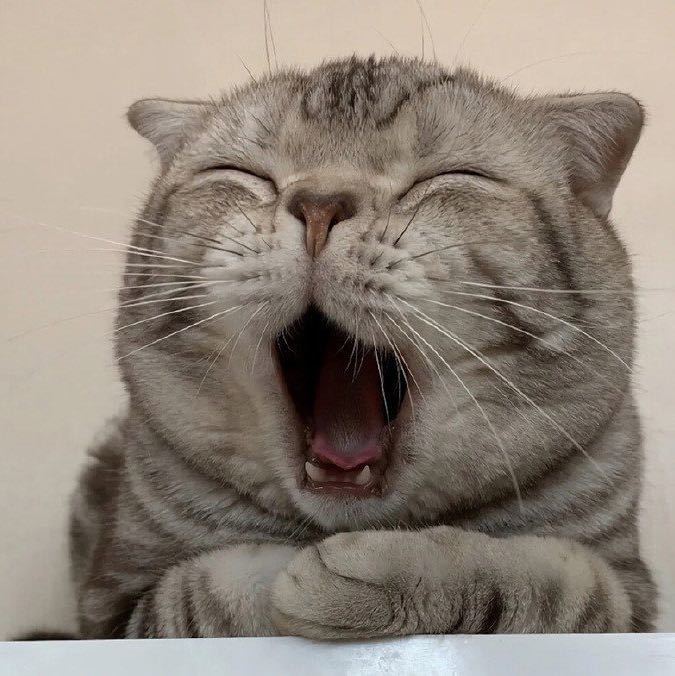 head-img