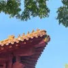 Avatar 1