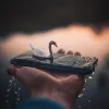 Avatar 1