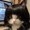 Avatar 1