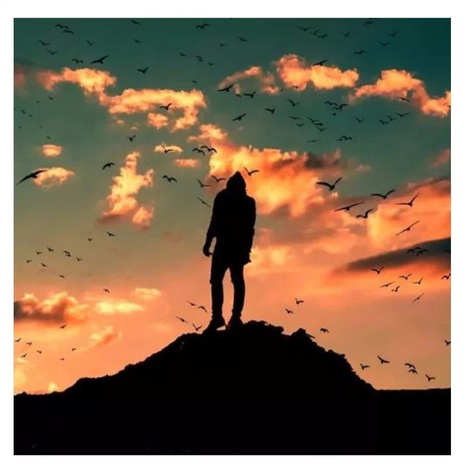 user-avatar