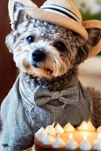 Jienizhuོ 旅荘　海の蝶 クーポン