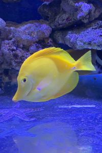 🐳 [liwenda]. ꯭ 建國鉑萃飯店（重慶楊家坪步行街店）優惠