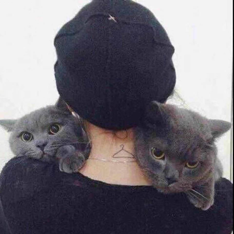head-img