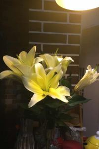 Leona Li 揭陽紅翡綠翠酒店優惠