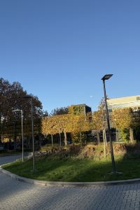 Lelexuebi 謝迪格羅夫-蓋瑟斯堡-羅克維爾舒適酒店優惠