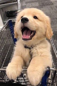 Shenhaideqingyejiangshan yiyi house心齋橋優惠