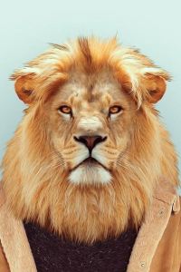 1393798**** 布吉悦榕莊（SHA Extra Plus）優惠