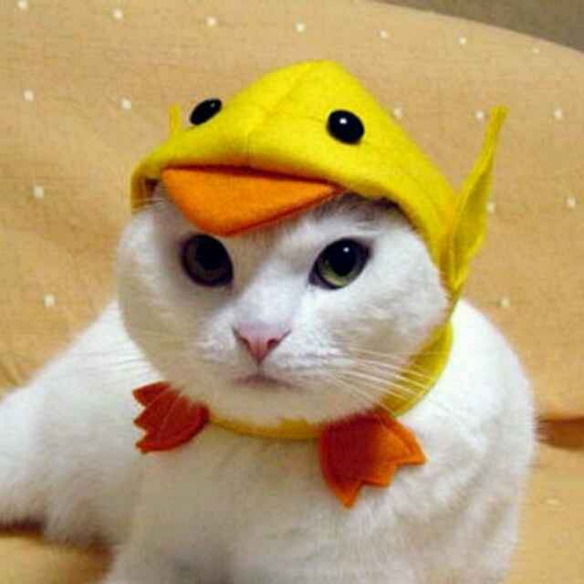 user-avatar