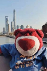 M362946**** 維也納國際飯店（兩江水土店）優惠