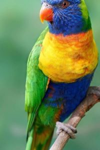 M40128**** 澳門鎮興賓館優惠