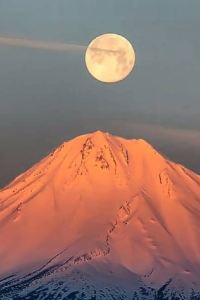 Tiangangdage 澤西市伊克諾旅店優惠