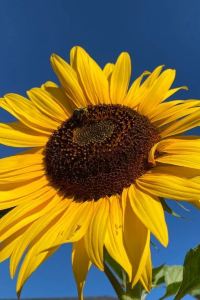 Xiaozhaxi🔥 廣州新珠江大酒店優惠