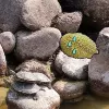 Avatar 2