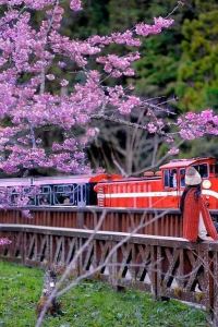 edward.huang 香城大飯店（台北信義店）優惠