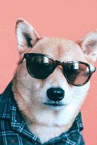 Yishuqi 樸易居飯店（廈門SM烏石浦地鐵站店）優惠