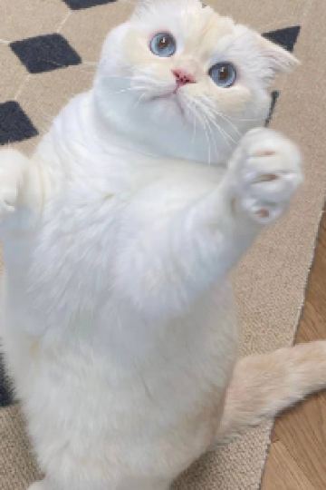 _WeChat284026**** 仁川機場温德姆豪生酒店優惠