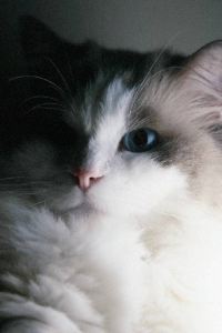 _WeChat432998**** 알로프트 서울 강남 쿠폰