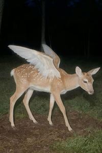 Kcheno 大理瀾庭別院優惠