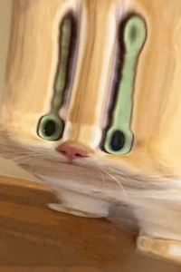 _CFT0399262**** 東京國際機場星期一飯店優惠