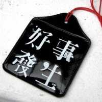 溜边儿的鱼
