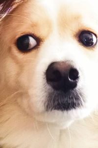 Superhuma 城崎温泉　あさぎり荘～露天風呂付大浴場と板長考案の料理が好評 クーポン