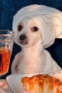 Xiumu🌋🌋🌋 多倫多機場希爾頓大使館套房酒店優惠