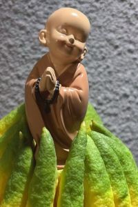 Wanbaoyanzi 北京燕莎中心凱賓斯基飯店優惠