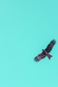 M383773**** 哥本哈根埃德莫瑞酒店優惠