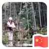 Avatar 2