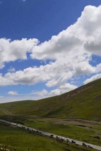 Yangzhengri 北京凱盛興豐國際飯店優惠