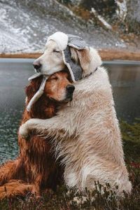 Laogouwangwang 城市商旅（桃園車站館）優惠