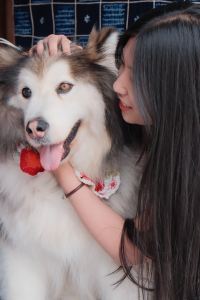 Baibaibai1213 南昌香格里拉大飯店優惠