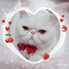 https://ak-d.tripcdn.com/images/1h65312000dwbqxco7681.jpg