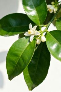 M497305**** 韶關風度華美達廣場酒店優惠