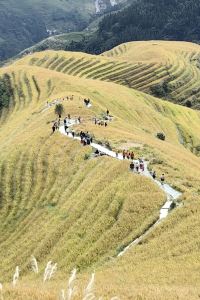 Laoshaojieyi（chengshirong） 賀州澤森華美達廣場酒店優惠