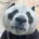 長隆野生動物世界
