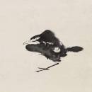 Shuan（houzhoushun）