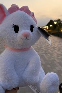 Nuanmo 澳門四季酒店優惠