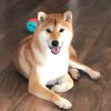 user-icon
