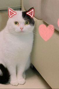 _WeChat496051**** 巴黎戴高樂機場及會議中心美居飯店優惠